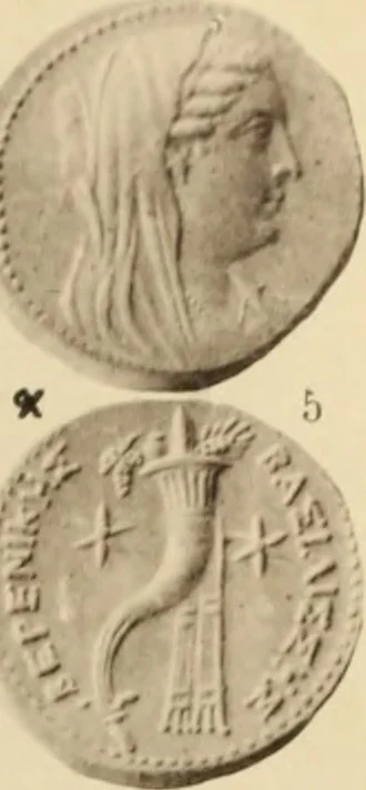 An illustration from Ta nomismata tou kratous ton Ptolemaion, 1904, leaf 68