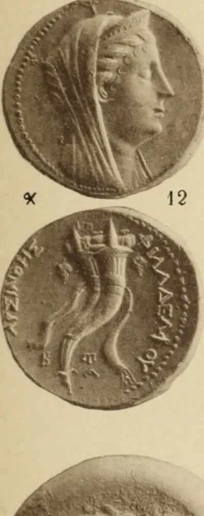 An illustration from Ta nomismata tou kratous ton Ptolemaion, 1904, leaf 74