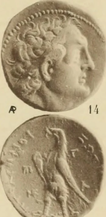 An illustration from Ta nomismata tou kratous ton Ptolemaion, 1904, leaf 74