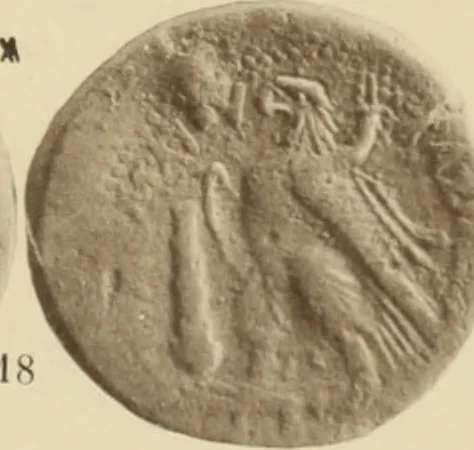 An illustration from Ta nomismata tou kratous ton Ptolemaion, 1904, leaf 74