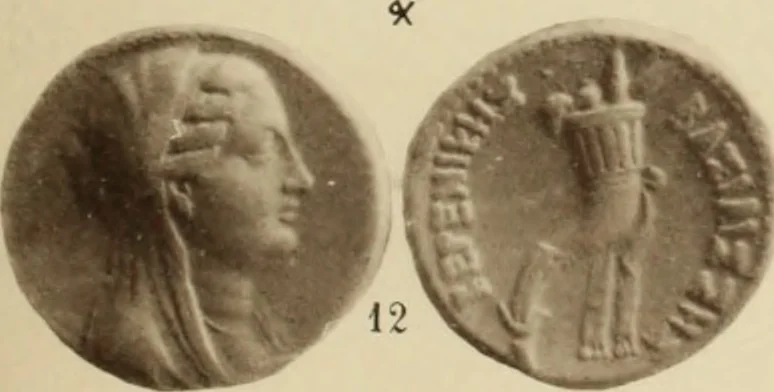 An illustration from Ta nomismata tou kratous ton Ptolemaion, 1904, leaf 80