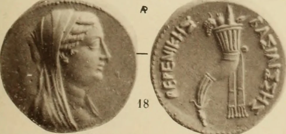 An illustration from Ta nomismata tou kratous ton Ptolemaion, 1904, leaf 80