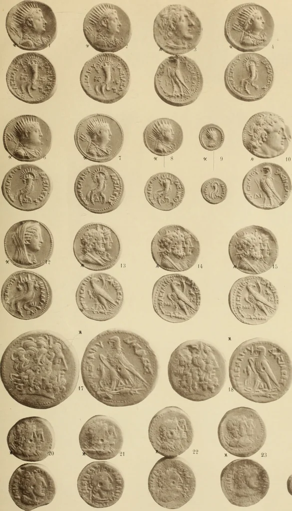 An illustration from Ta nomismata tou kratous ton Ptolemaion, 1904, leaf 82