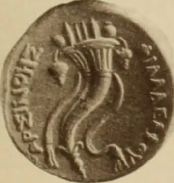 An illustration from Ta nomismata tou kratous ton Ptolemaion, 1904, leaf 90