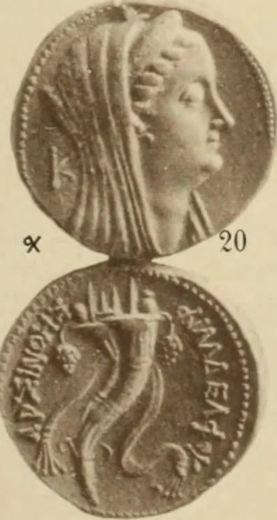 An illustration from Ta nomismata tou kratous ton Ptolemaion, 1904, leaf 90