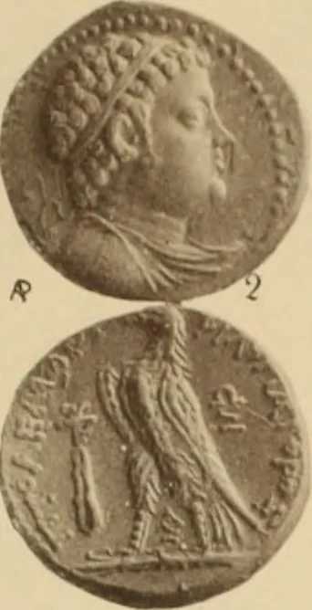 An illustration from Ta nomismata tou kratous ton Ptolemaion, 1904, leaf 96