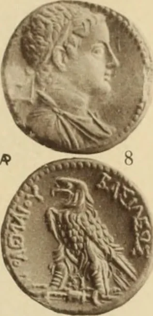 An illustration from Ta nomismata tou kratous ton Ptolemaion, 1904, leaf 96