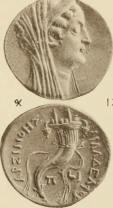 An illustration from Ta nomismata tou kratous ton Ptolemaion, 1904, leaf 98
