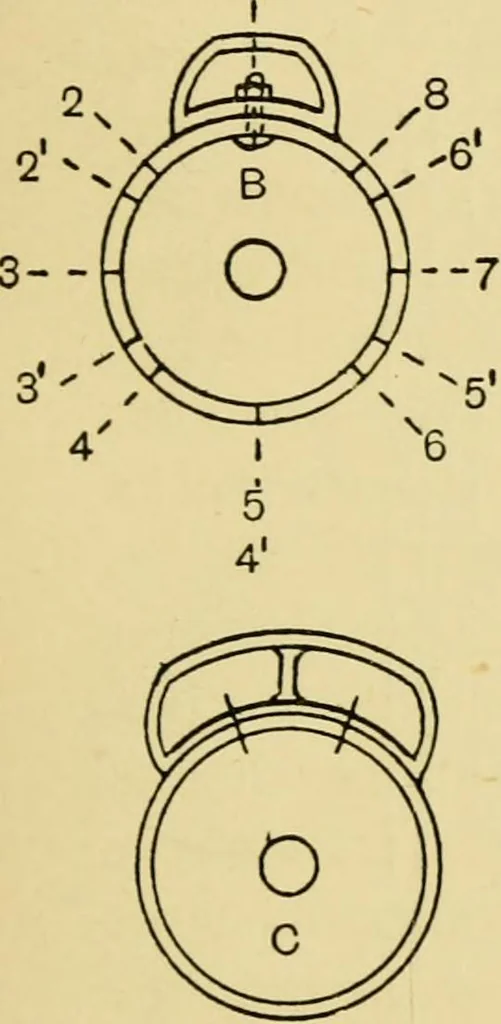 An illustration from Tappet and dobby looms : their mechanism and management, 1912, leaf 62