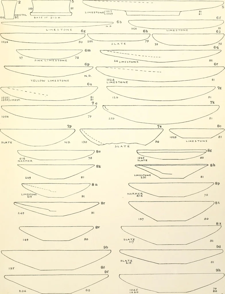 An illustration from Tarkhan I and Memphis V, 1913, leaf 112