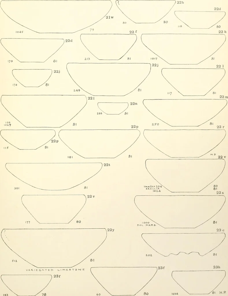 An illustration from Tarkhan I and Memphis V, 1913, leaf 120