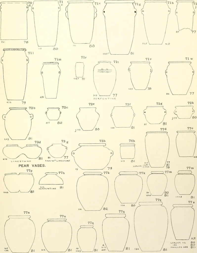 An illustration from Tarkhan I and Memphis V, 1913, leaf 134