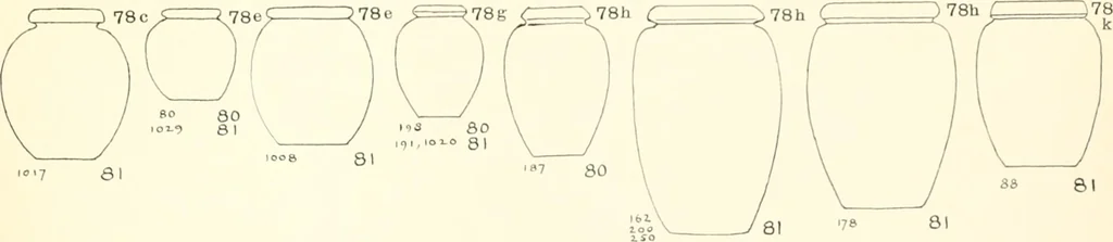 An illustration from Tarkhan I and Memphis V, 1913, leaf 136