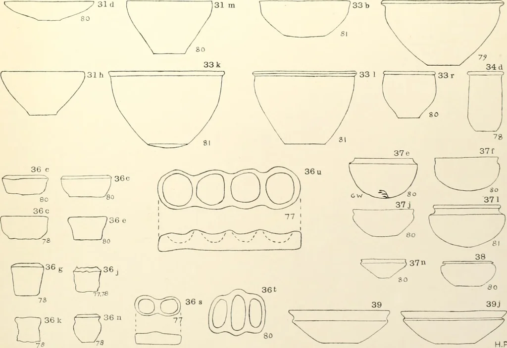 An illustration from Tarkhan I and Memphis V, 1913, leaf 144