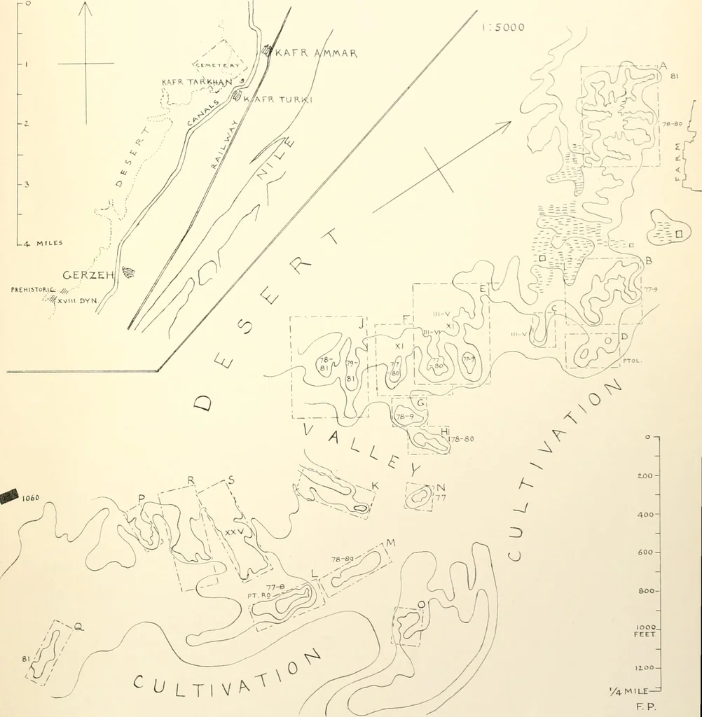 An illustration from Tarkhan I and Memphis V, 1913, leaf 186