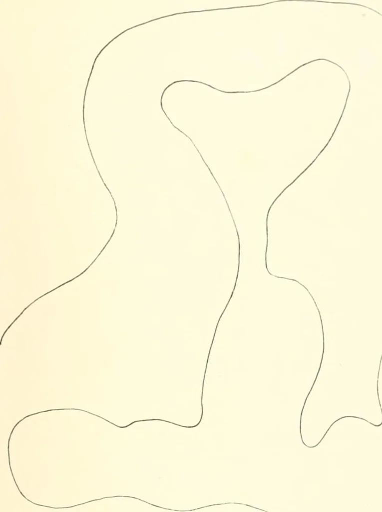 An illustration from Tarkhan I and Memphis V, 1913, leaf 188