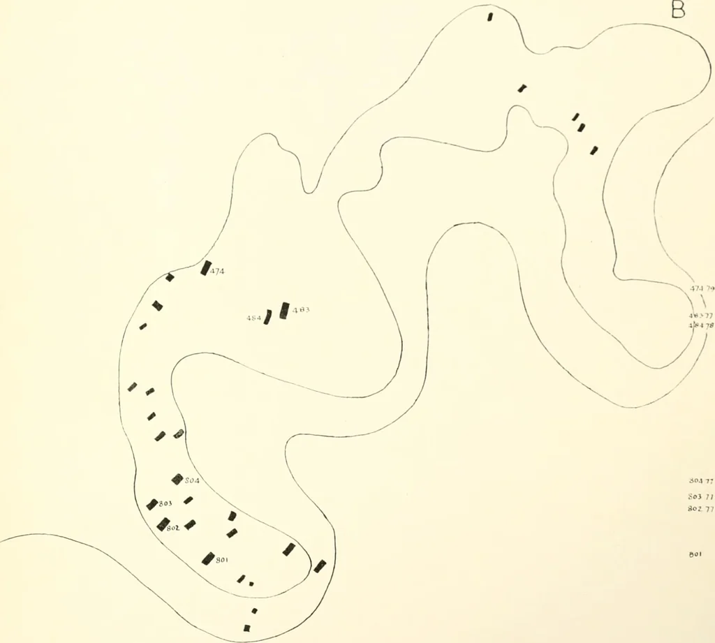 An illustration from Tarkhan I and Memphis V, 1913, leaf 190