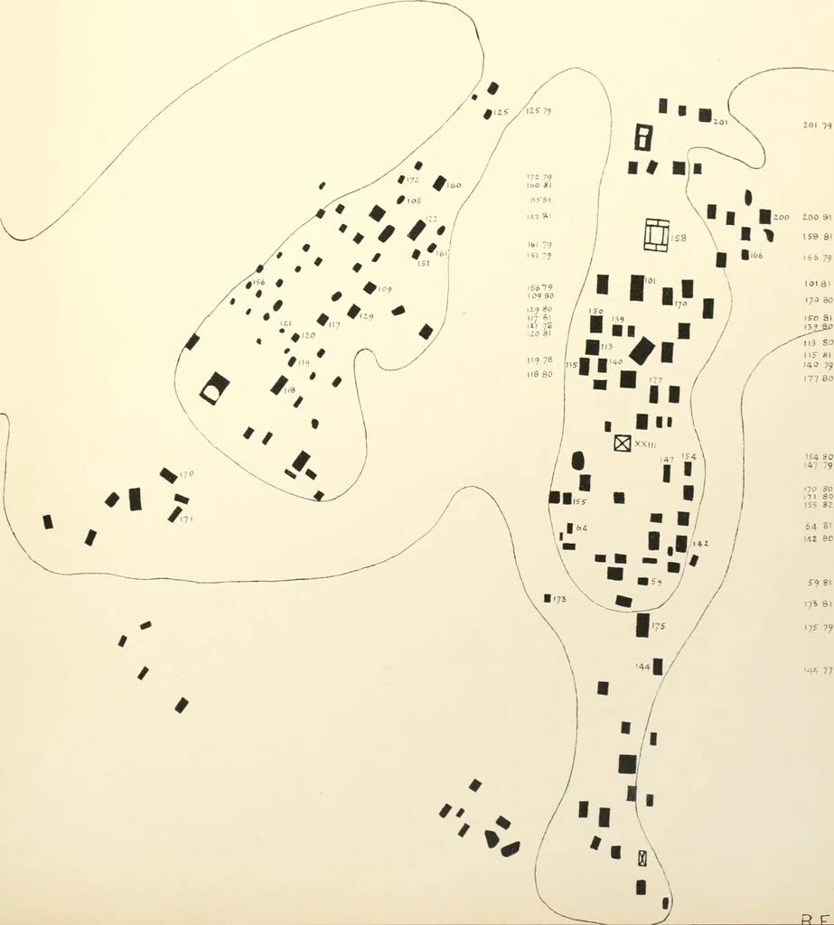 An illustration from Tarkhan I and Memphis V, 1913, leaf 196
