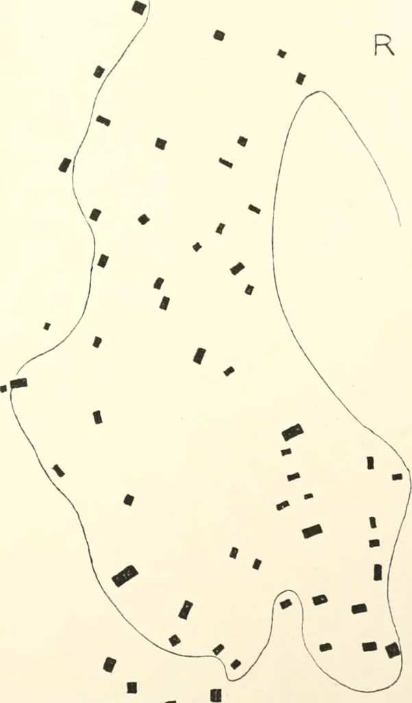 An illustration from Tarkhan I and Memphis V, 1913, leaf 200