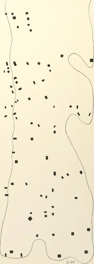 An illustration from Tarkhan I and Memphis V, 1913, leaf 200