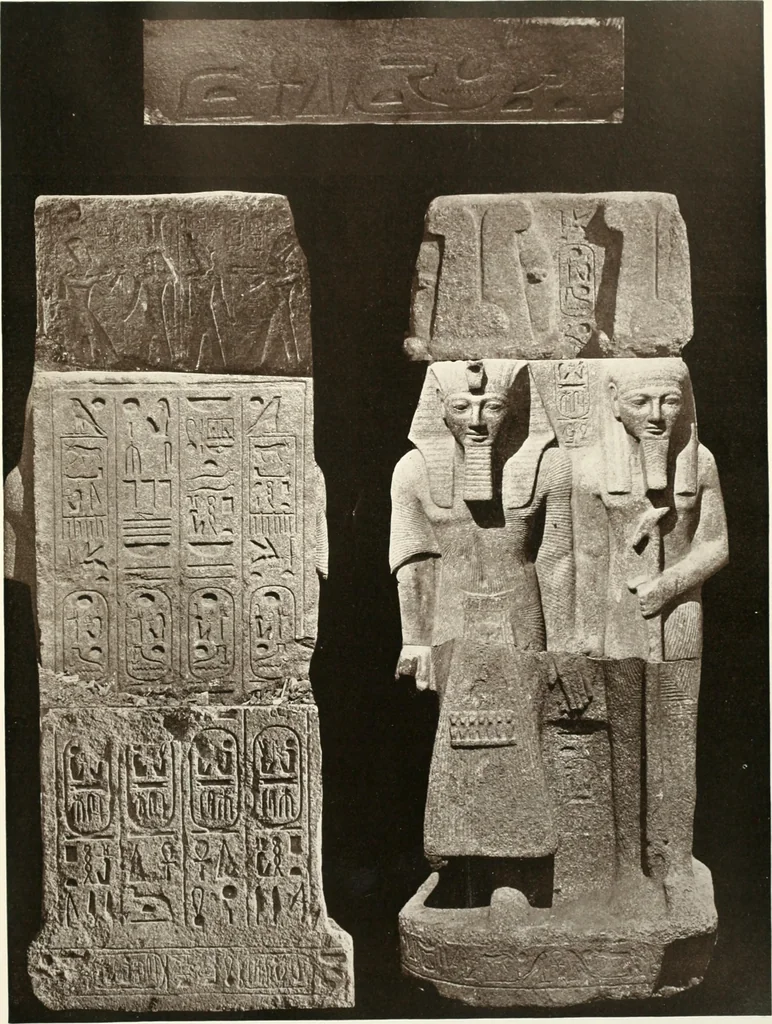 An illustration from Tarkhan I and Memphis V, 1913, leaf 202