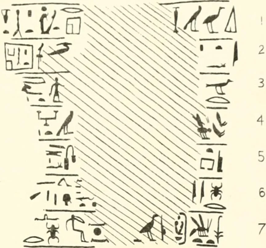 An illustration from Tarkhan I and Memphis V, 1913, leaf 206