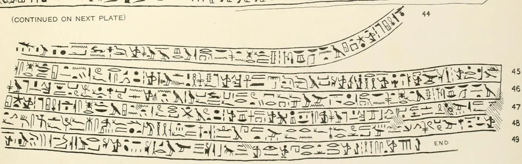 An illustration from Tarkhan I and Memphis V, 1913, leaf 206