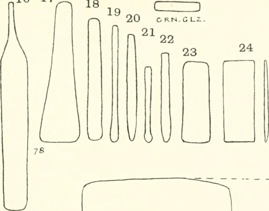 An illustration from Tarkhan I and Memphis V, 1913, leaf 60
