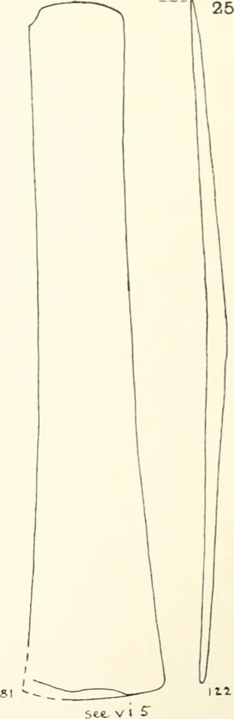 An illustration from Tarkhan I and Memphis V, 1913, leaf 60