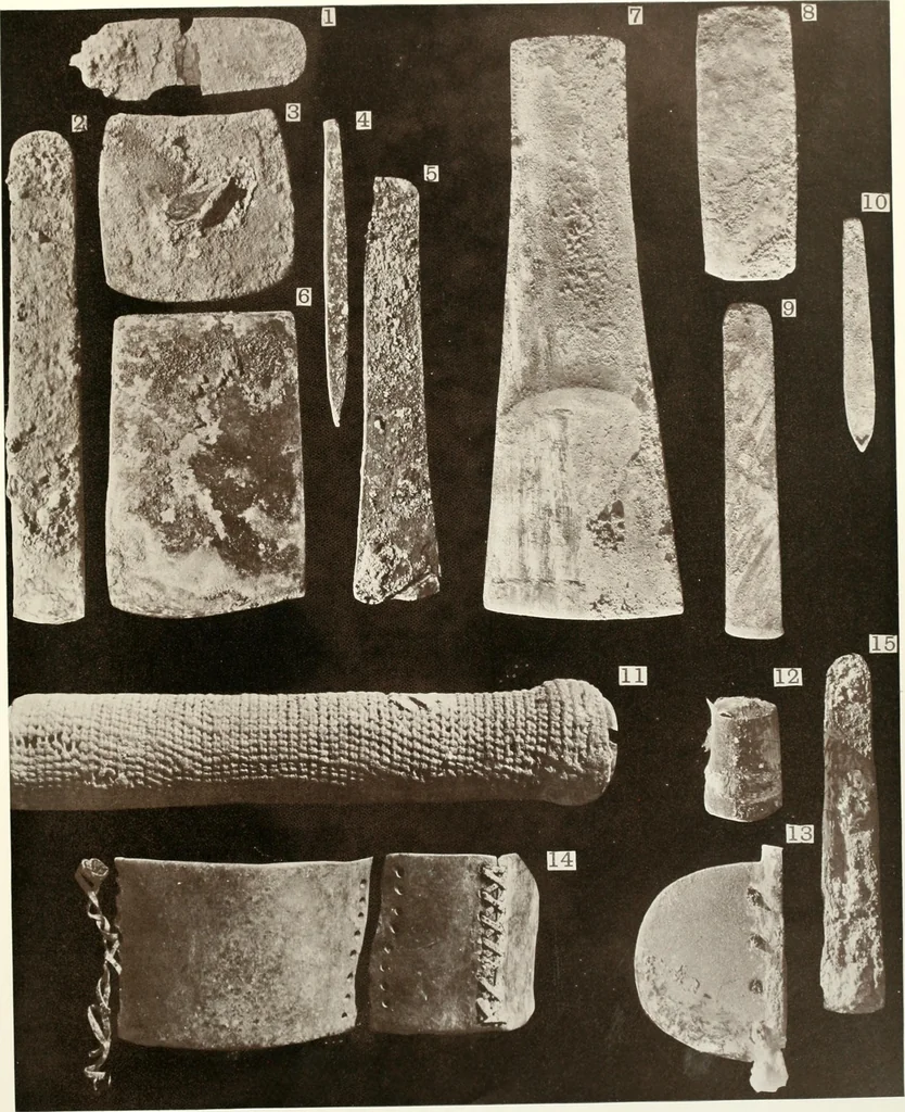 An illustration from Tarkhan I and Memphis V, 1913, leaf 62