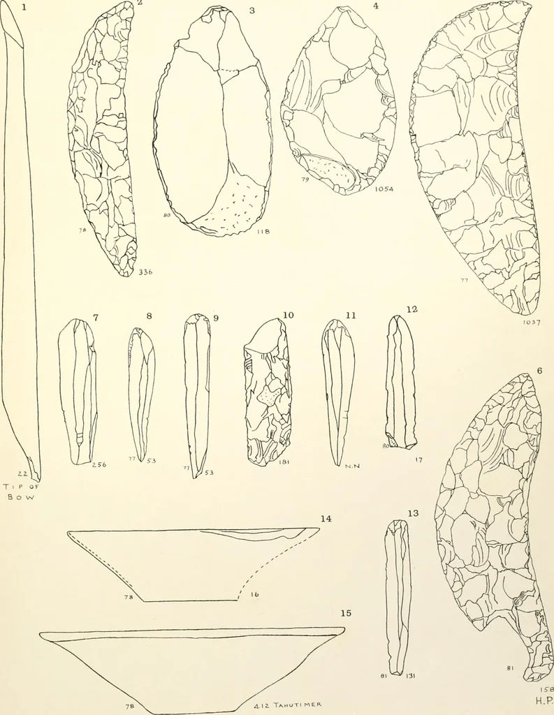 An illustration from Tarkhan I and Memphis V, 1913, leaf 64