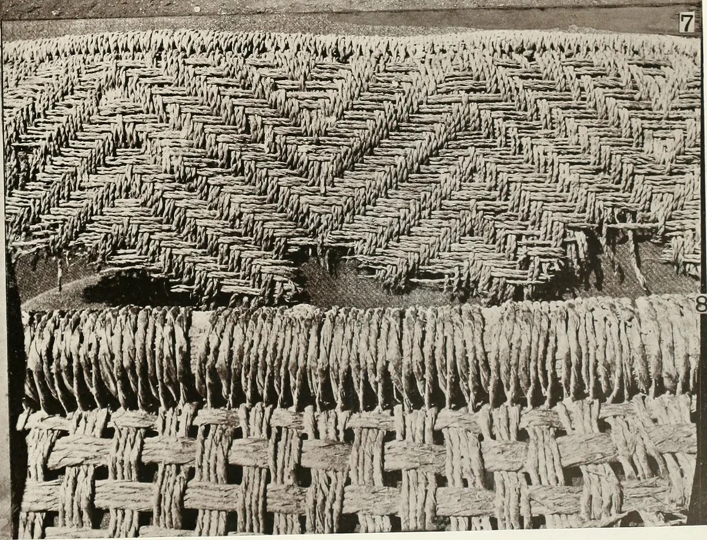 An illustration from Tarkhan I and Memphis V, 1913, leaf 66