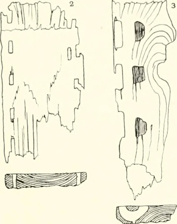 An illustration from Tarkhan I and Memphis V, 1913, leaf 68