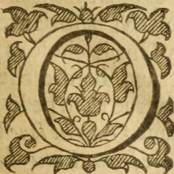 An illustration from Christ's starre, or, A Christian treatise for our direction to our Saviour and for our conjunction with him .., 1625, leaf 64