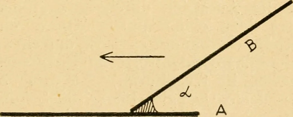 An illustration from Taschenbuch der mikroskopischen Technik : kurze Anleitung zur mikroskopischen Untersuchung der Gewebe und Organe der Wirbeltiere und des Menschen : unter Berücksichtigung der embryologischen technik, 1919, leaf 188