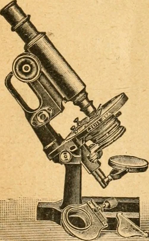 An illustration from Taschenbuch der mikroskopischen Technik : kurze Anleitung zur mikroskopischen Untersuchung der Gewebe und Organe der Wirbeltiere und des Menschen : unter Berücksichtigung der embryologischen technik, 1919, leaf 454