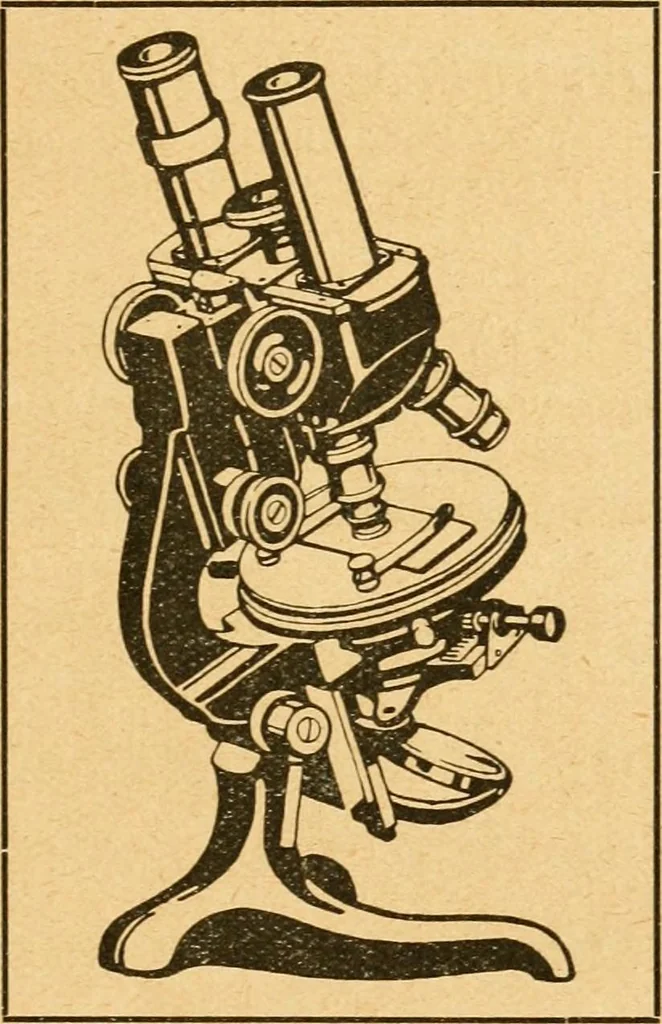An illustration from Taschenbuch der mikroskopischen Technik : kurze Anleitung zur mikroskopischen Untersuchung der Gewebe und Organe der Wirbeltiere und des Menschen : unter Berücksichtigung der embryologischen technik, 1919, leaf 456