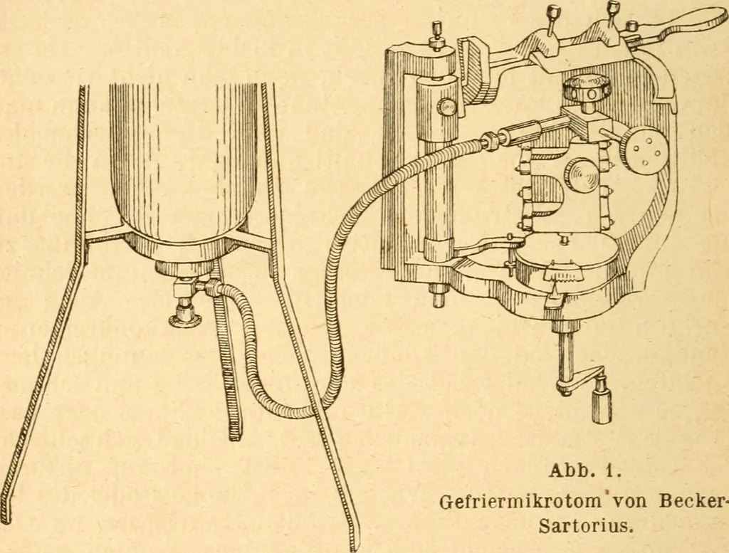 An illustration from Taschenbuch der mikroskopischen Technik : kurze Anleitung zur mikroskopischen Untersuchung der Gewebe und Organe der Wirbeltiere und des Menschen : unter Berücksichtigung der embryologischen technik, 1919, leaf 83