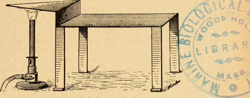 An illustration from Taschenbuch der mikroskopischen Technik : kurze Anleitung zur mikroskopischen Untersuchung der Gewebe und Organe der Wirbeltiere und des Menschen : unter Berücksichtigung der embryologischen technik, 1919, leaf 88