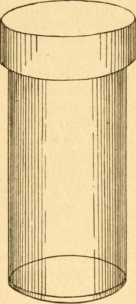 An illustration from Taschenbuch der mikroskopischen Technik : kurze Anleitung zur mikroskopischen Untersuchung der Gewebe und Organe der Wirbeltiere und des Menschen : unter Berücksichtigung der embryologischen technik, 1919, leaf 95
