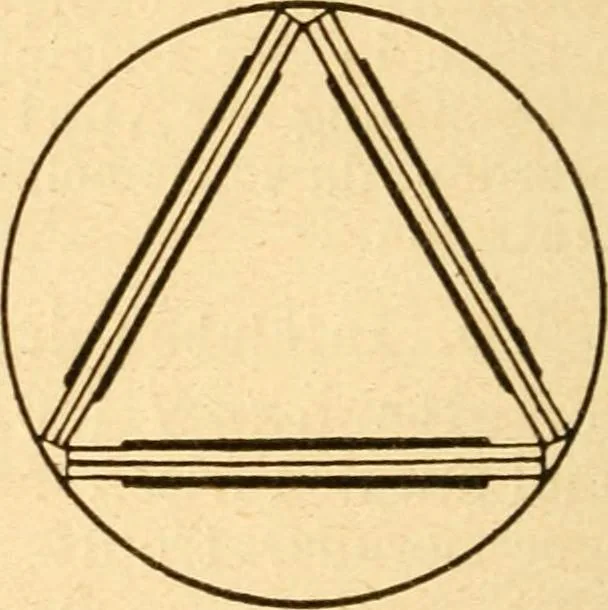 An illustration from Taschenbuch der mikroskopischen Technik : kurze Anleitung zur mikroskopischen Untersuchung der Gewebe und Organe der Wirbeltiere und des Menschen : unter Berücksichtigung der embryologischen technik, 1919, leaf 95