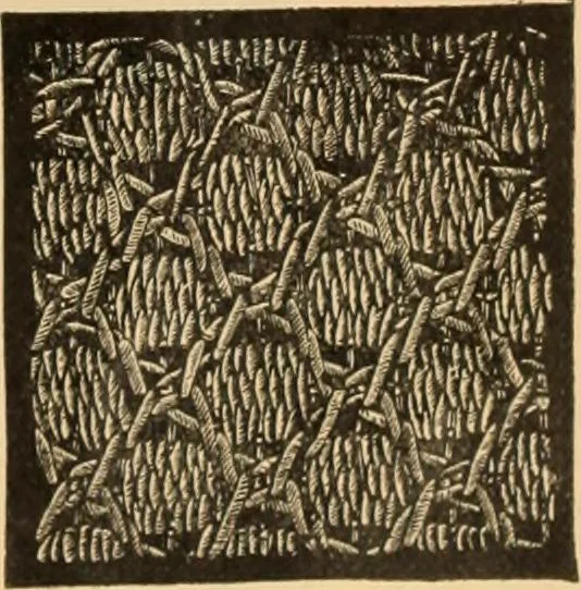 An illustration from Tatting and netting, 1895, leaf 108