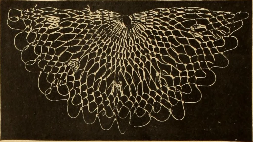 An illustration from Tatting and netting, 1895, leaf 113