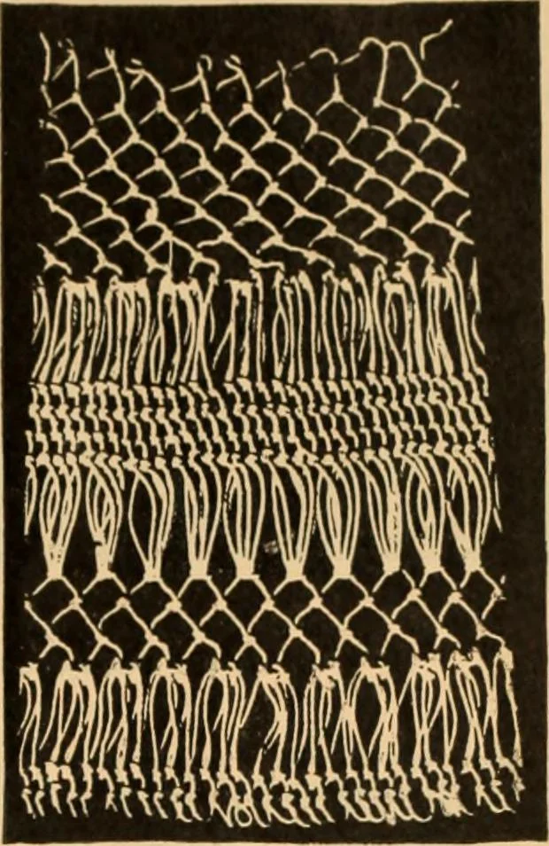 An illustration from Tatting and netting, 1895, leaf 116