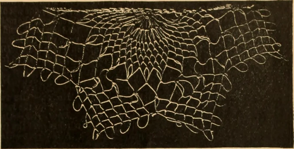 An illustration from Tatting and netting, 1895, leaf 118