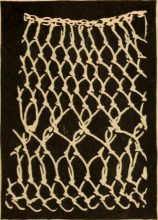 An illustration from Tatting and netting, 1895, leaf 118
