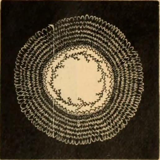 An illustration from Tatting and netting, 1895, leaf 122