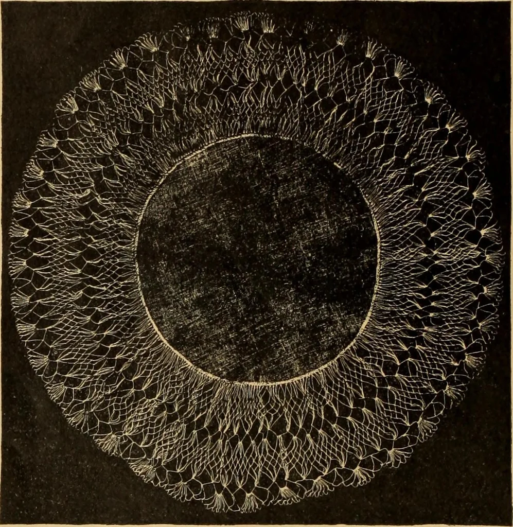 An illustration from Tatting and netting, 1895, leaf 123