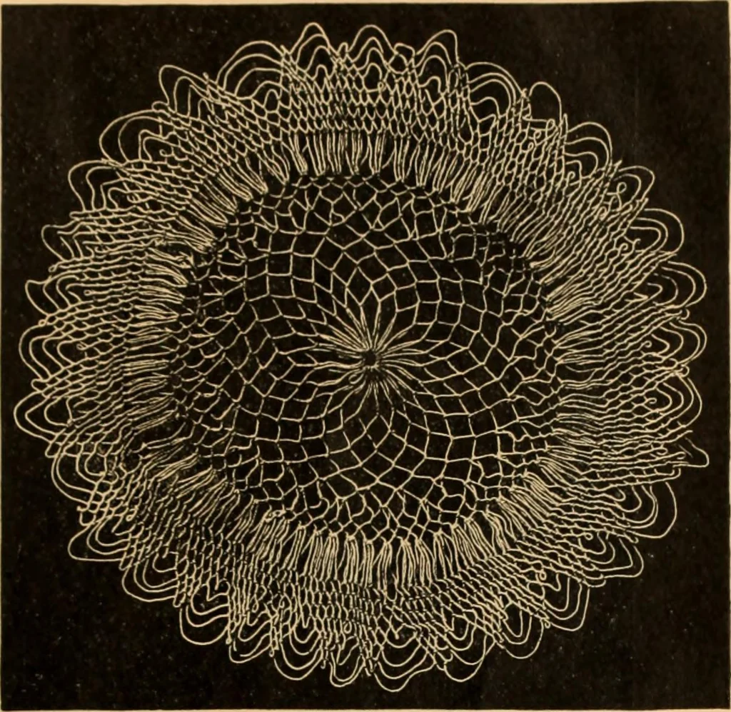 An illustration from Tatting and netting, 1895, leaf 124