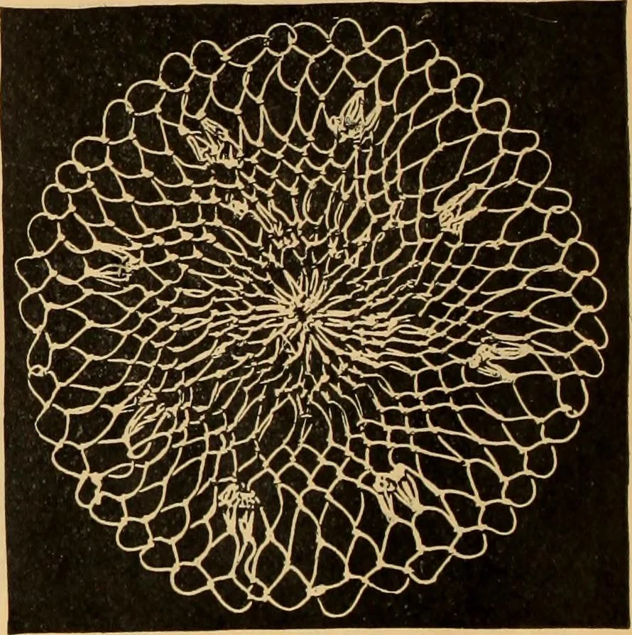 An illustration from Tatting and netting, 1895, leaf 127